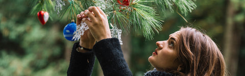 Tuinieren in december: wat kun je deze maand in de tuin doen?