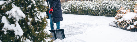 Tuinieren in januari: wat kun je deze maand in de tuin doen?