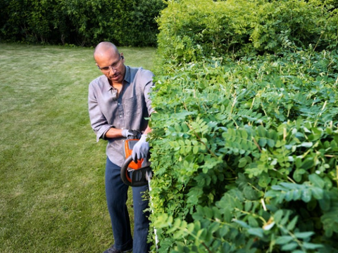 215iHD45 Accu Heggenschaar 45cm - Set Compleet