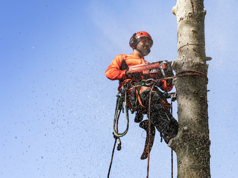 545 Mark II 45cm Benzine Kettingzaag