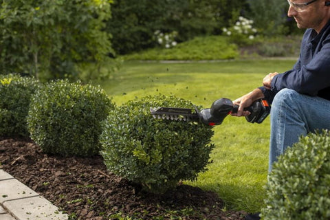 Aspire™ S20-P4A Accu Grasschaar en Buxus Heggenschaar - BODY zonder accu en zonder lader