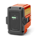 Accu BLi10